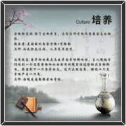 九州酷游app:铁岭新台子工业园区招聘信息(铁岭市